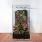 Preview: ANTCUBE Vivarium 30x30x60 - Tower